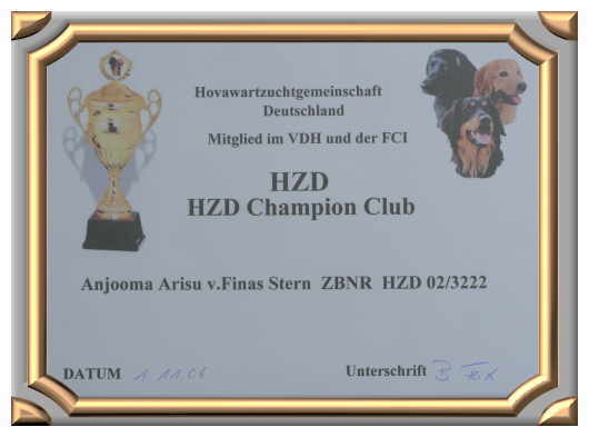 HZD-Champion02