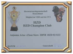HZD-Champion