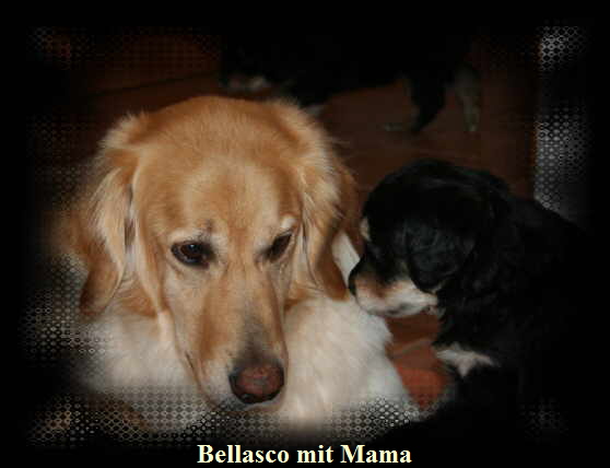 Bellasco mit Mama